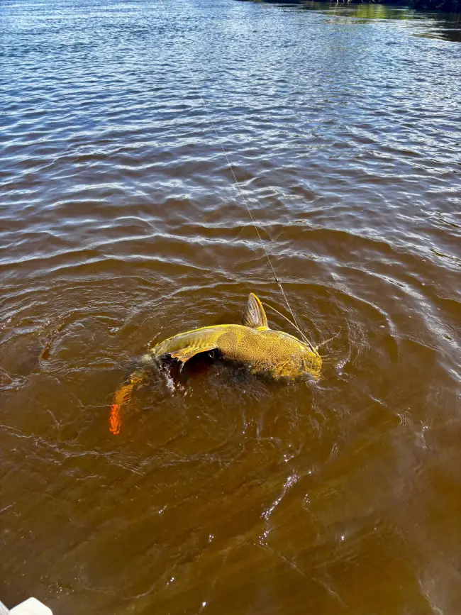 pesca (17)